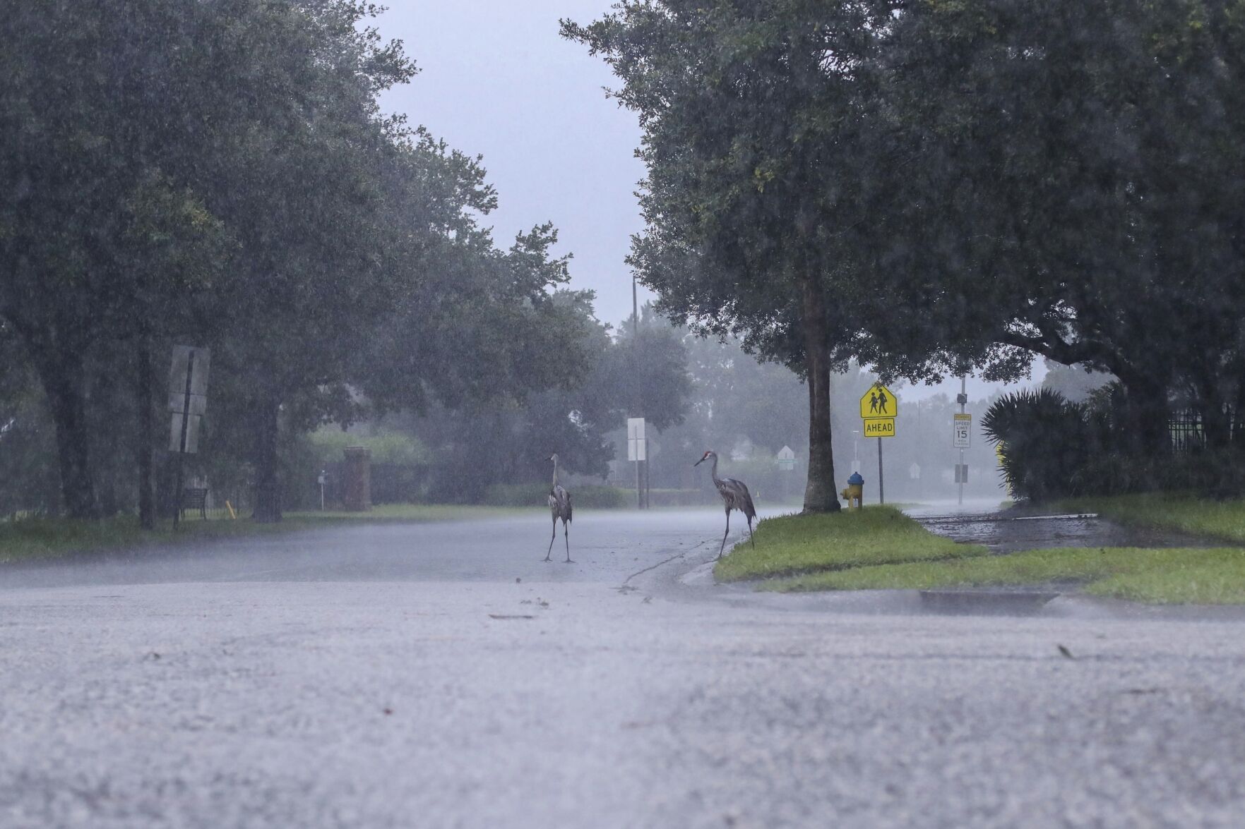 Tropical Weather Atlantic